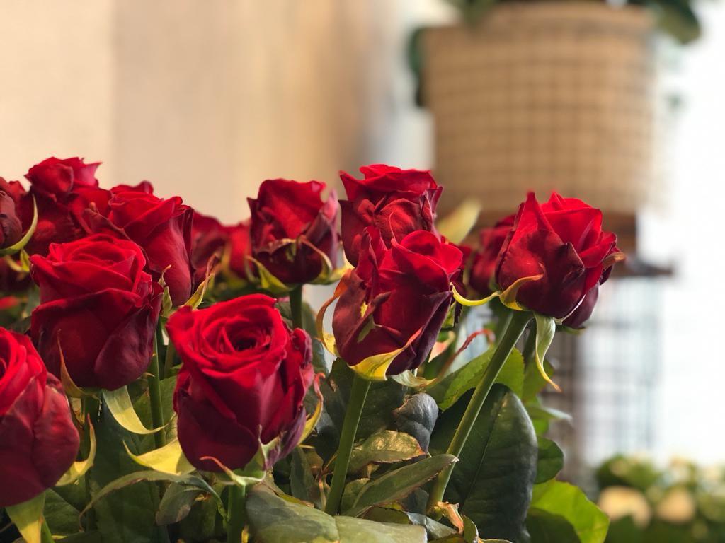 Bouquet con rose rosse – Maspes Piante e Fiori