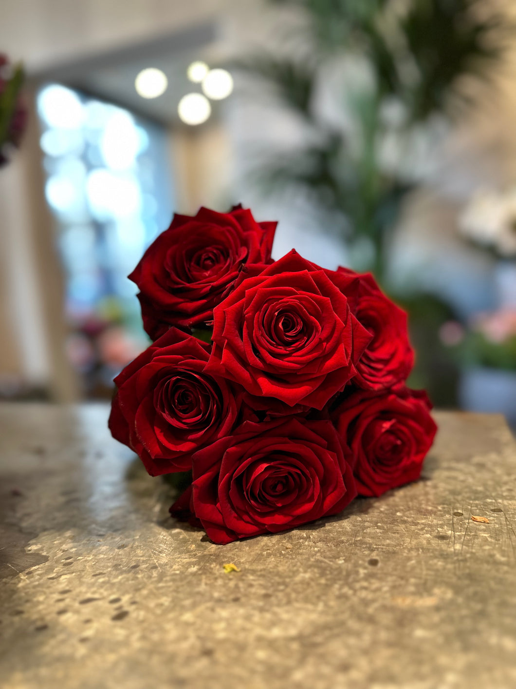 6 rose rosse